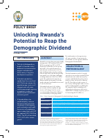 27.11.2017 Global Policy Brief.pdf